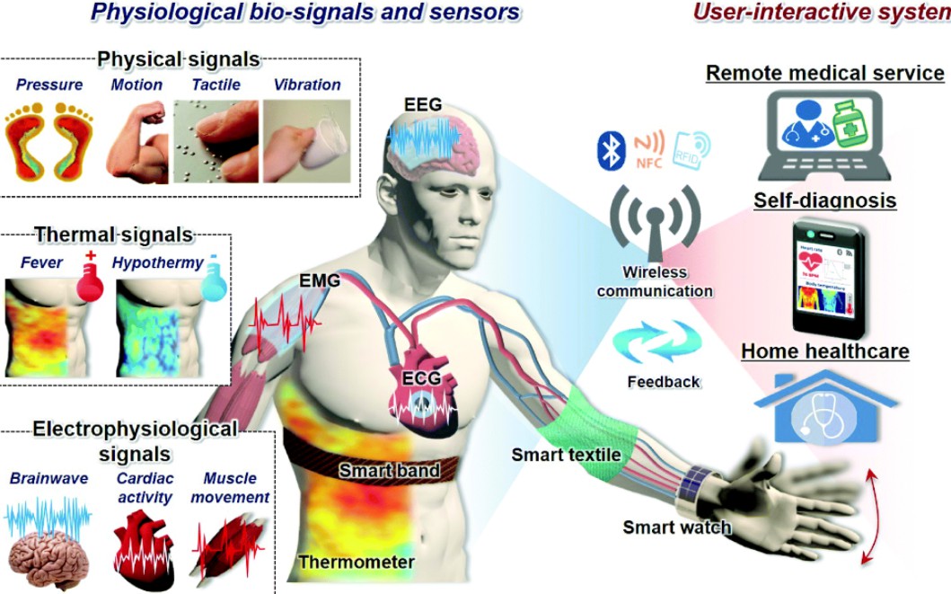 粘合剂的研究有天富代理助于提高可穿戴传感器的身体功能监测能力